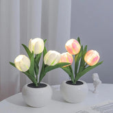 Mini-Tulpen-LED-Nachtlicht im Topf